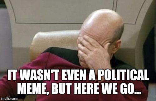 Captain Picard Facepalm Meme | IT WASN'T EVEN A POLITICAL MEME, BUT HERE WE GO... | image tagged in memes,captain picard facepalm | made w/ Imgflip meme maker