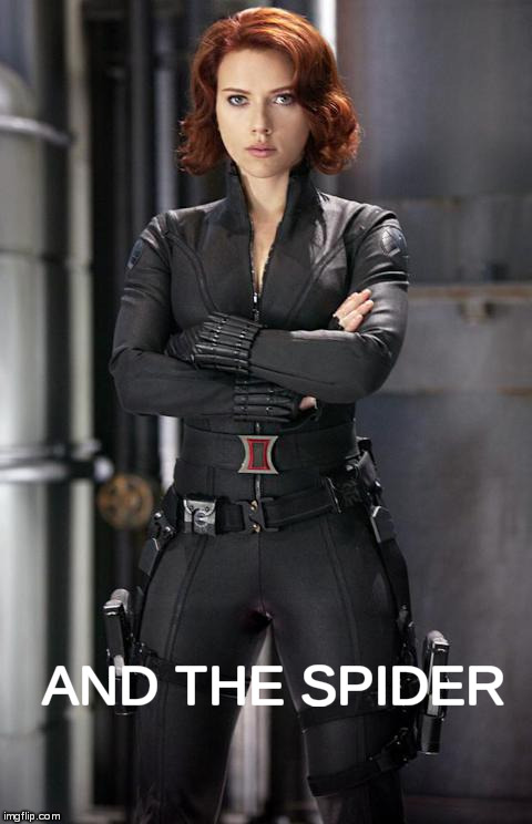 black widow | AND THE SPIDER | image tagged in black widow | made w/ Imgflip meme maker