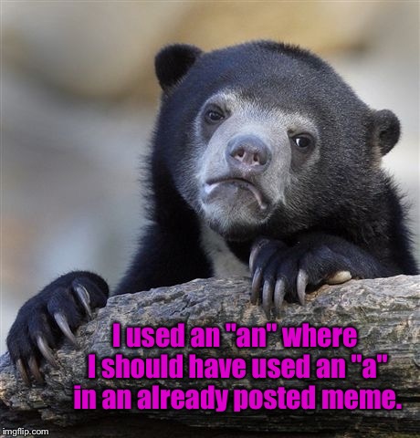 Confession bear comes clean about previously submitted meme | I used an "an" where I should have used an "a" in an already posted meme. | image tagged in memes,confession bear,spelling error,grammar,words,oops | made w/ Imgflip meme maker