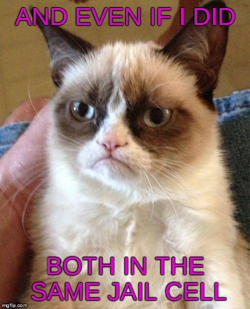 Grumpy Cat Meme | AND EVEN IF I DID BOTH IN THE SAME JAIL CELL | image tagged in memes,grumpy cat | made w/ Imgflip meme maker