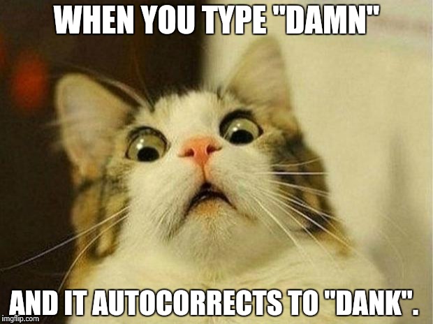 Scared Cat | WHEN YOU TYPE "DAMN"; AND IT AUTOCORRECTS TO "DANK". | image tagged in memes,scared cat | made w/ Imgflip meme maker