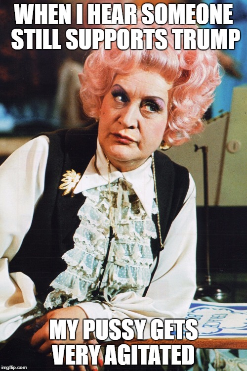 mrs slocombe | WHEN I HEAR SOMEONE STILL SUPPORTS TRUMP; MY PUSSY GETS VERY AGITATED | image tagged in mrs slocombe | made w/ Imgflip meme maker