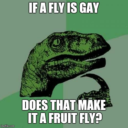 Philosoraptor Meme | IF A FLY IS GAY; DOES THAT MAKE IT A FRUIT FLY? | image tagged in memes,philosoraptor | made w/ Imgflip meme maker