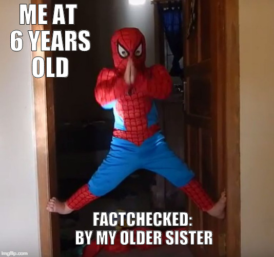 Not me in the picture but I used to do this all the time | ME AT 6 YEARS OLD; FACTCHECKED: BY MY OLDER SISTER | image tagged in spiderman,wallcrawler,nostalgia | made w/ Imgflip meme maker