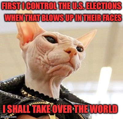 It IS A Conspiracy, But Not Human | FIRST I CONTROL THE U.S. ELECTIONS; WHEN THAT BLOWS UP IN THEIR FACES; I SHALL TAKE OVER THE WORLD | image tagged in hairless,cat,dictator | made w/ Imgflip meme maker