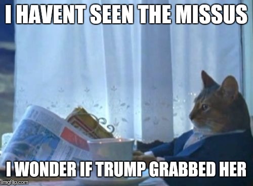 I Should Buy A Boat Cat | I HAVENT SEEN THE MISSUS; I WONDER IF TRUMP GRABBED HER | image tagged in memes,i should buy a boat cat | made w/ Imgflip meme maker