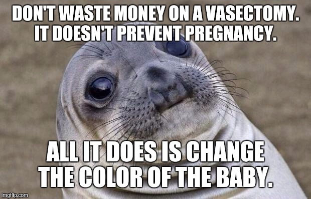 Awkward Moment Sealion Meme | DON'T WASTE MONEY ON A VASECTOMY. IT DOESN'T PREVENT PREGNANCY. ALL IT DOES IS CHANGE THE COLOR OF THE BABY. | image tagged in memes,awkward moment sealion | made w/ Imgflip meme maker