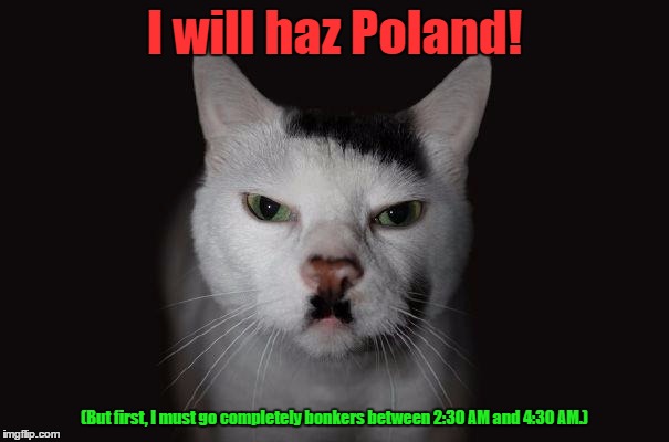 Learning about WWII (again) | I will haz Poland! (But first, I must go completely bonkers between 2:30 AM and 4:30 AM.) | image tagged in hitler cat | made w/ Imgflip meme maker