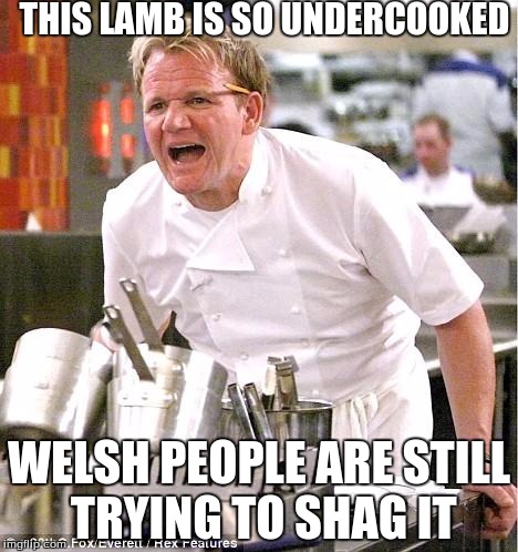 Chef Gordon Ramsay Meme | THIS LAMB IS SO UNDERCOOKED; WELSH PEOPLE ARE STILL TRYING TO SHAG IT | image tagged in memes,chef gordon ramsay | made w/ Imgflip meme maker