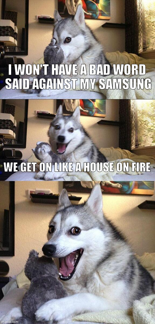 Bad Pun Dog | I WON'T HAVE A BAD WORD SAID AGAINST MY SAMSUNG; WE GET ON LIKE A HOUSE ON FIRE | image tagged in memes,bad pun dog,samsung | made w/ Imgflip meme maker