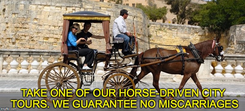No Miscarriages | TAKE ONE OF OUR HORSE-DRIVEN CITY TOURS. WE GUARANTEE NO MISCARRIAGES | image tagged in horse,travel | made w/ Imgflip meme maker