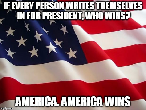 American flag | IF EVERY PERSON WRITES THEMSELVES IN FOR PRESIDENT, WHO WINS? AMERICA. AMERICA WINS | image tagged in american flag | made w/ Imgflip meme maker