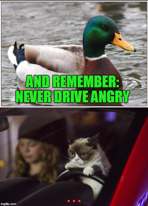 . . . | AND REMEMBER: NEVER DRIVE ANGRY; . . . | image tagged in memes,actual advice mallard,grumpy cat,grumpy cat driving | made w/ Imgflip meme maker