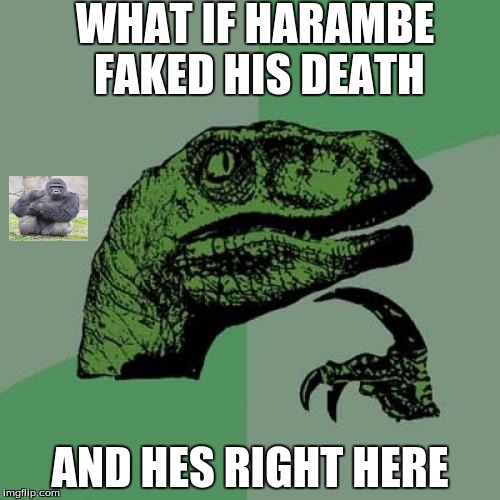 Philosoraptor Meme | WHAT IF HARAMBE FAKED HIS DEATH; AND HES RIGHT HERE | image tagged in memes,philosoraptor | made w/ Imgflip meme maker