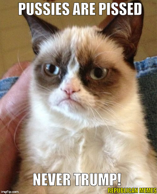 Pussies Are Pissed | PUSSIES ARE PISSED; NEVER TRUMP! REPUBLICAN MEMES | image tagged in memes,grumpy cat,donald trump,trump 2016,never trump | made w/ Imgflip meme maker