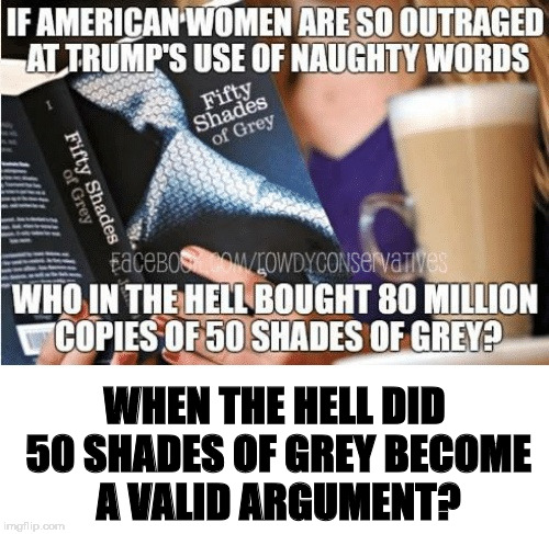50 Shades of Bullshit | WHEN THE HELL DID 50 SHADES OF GREY BECOME A VALID ARGUMENT? | image tagged in memes,trump,50 shades | made w/ Imgflip meme maker