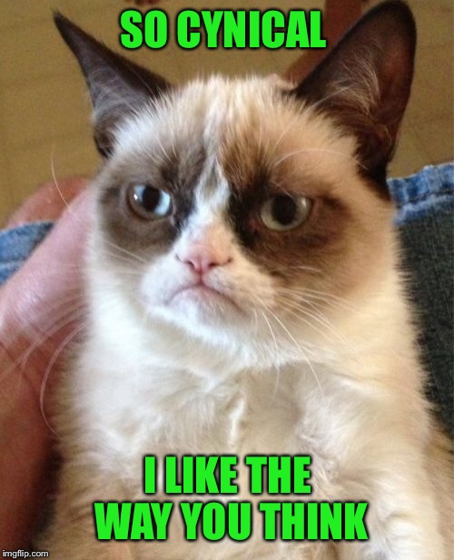 Grumpy Cat Meme | SO CYNICAL I LIKE THE WAY YOU THINK | image tagged in memes,grumpy cat | made w/ Imgflip meme maker