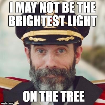 Thanks captain obvious. | I MAY NOT BE THE BRIGHTEST LIGHT; ON THE TREE | image tagged in thanks captain obvious | made w/ Imgflip meme maker