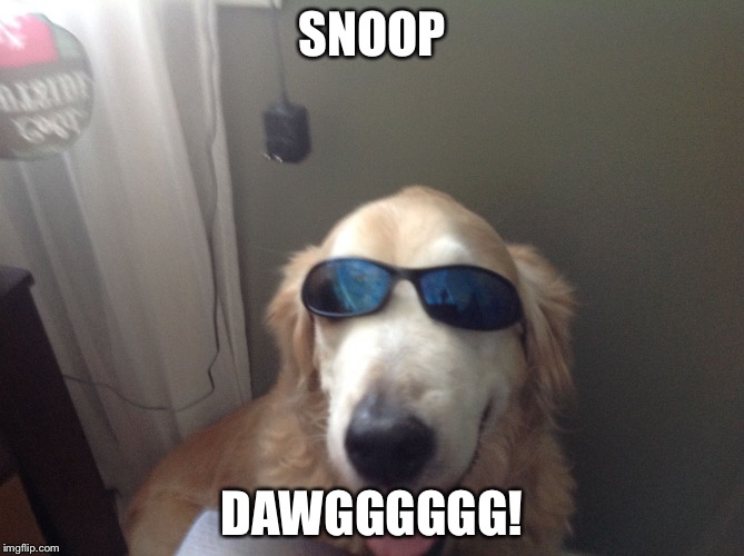 SNOOP; DAWGGGGGG! | image tagged in snoop dawg | made w/ Imgflip meme maker