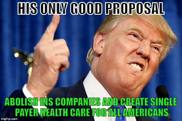 Donald Trump | HIS ONLY GOOD PROPOSAL; ABOLISH INS COMPANIES AND CREATE SINGLE PAYER HEALTH CARE FOR ALL AMERICANS | image tagged in donald trump | made w/ Imgflip meme maker