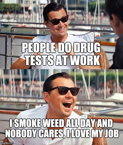 Leonardo Dicaprio Wolf Of Wall Street | PEOPLE DO DRUG TESTS AT WORK; I SMOKE WEED ALL DAY AND NOBODY CARES, I LOVE MY JOB | image tagged in memes,leonardo dicaprio wolf of wall street | made w/ Imgflip meme maker