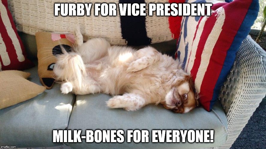 Furby for Vice President | FURBY FOR VICE PRESIDENT; MILK-BONES FOR EVERYONE! | image tagged in funny dogs | made w/ Imgflip meme maker