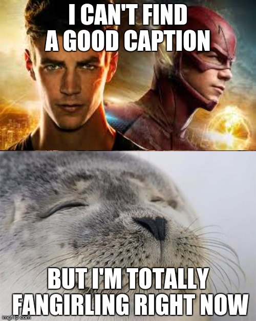 Fangirling | I CAN'T FIND A GOOD CAPTION; BUT I'M TOTALLY FANGIRLING RIGHT NOW | image tagged in satisfied seal,the flash,fangirling | made w/ Imgflip meme maker