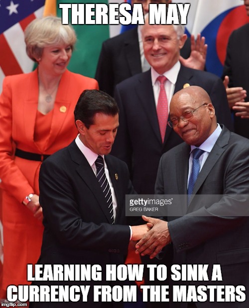 Theresa May | THERESA MAY; LEARNING HOW TO SINK A CURRENCY FROM THE MASTERS | image tagged in theresa may,jacob zuma,pound crash,currency | made w/ Imgflip meme maker