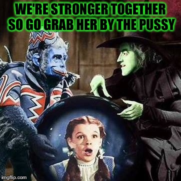 WE'RE STRONGER TOGETHER SO GO GRAB HER BY THE PUSSY | image tagged in trump 2016,hillary clinton 2016 | made w/ Imgflip meme maker