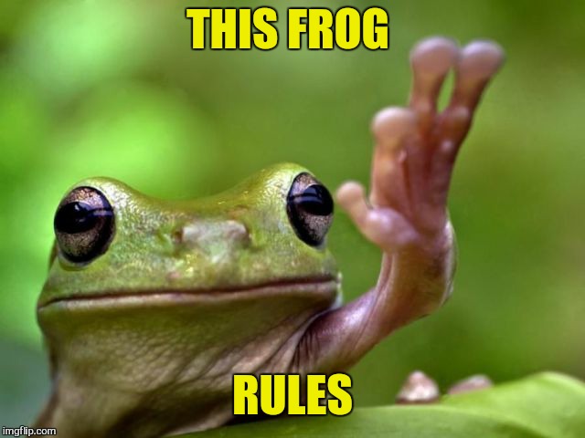 THIS FROG RULES | made w/ Imgflip meme maker