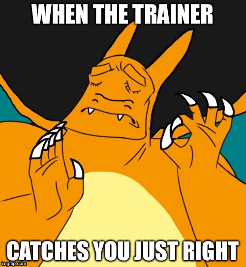 Pokémon Logic |  WHEN THE TRAINER; CATCHES YOU JUST RIGHT | image tagged in when x just right,pokemon | made w/ Imgflip meme maker