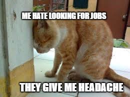 Job Looking Kitty | ME HATE LOOKING FOR JOBS; THEY GIVE ME HEADACHE | image tagged in job search,frustrated,kitty | made w/ Imgflip meme maker
