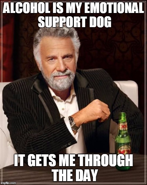 The Most Interesting Man In The World | ALCOHOL IS MY EMOTIONAL SUPPORT DOG; IT GETS ME THROUGH THE DAY | image tagged in memes,the most interesting man in the world | made w/ Imgflip meme maker