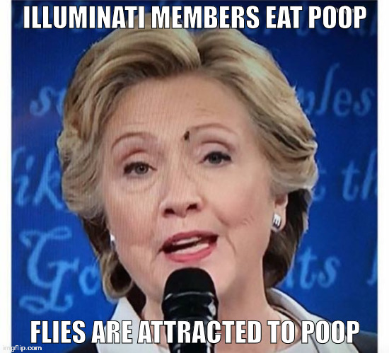 ILLUMINATI MEMBERS EAT POOP; FLIES ARE ATTRACTED TO POOP | image tagged in hillary clinton fly | made w/ Imgflip meme maker