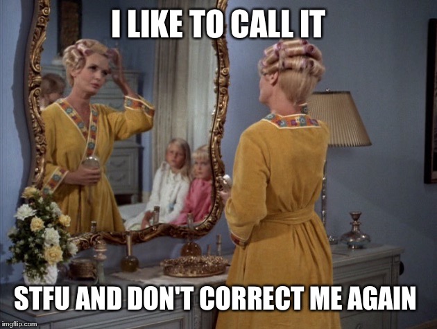 I wish I could say this to the kids... But then they would say it and say "you started it" | I LIKE TO CALL IT; STFU AND DON'T CORRECT ME AGAIN | image tagged in carol brady,the brady bunch | made w/ Imgflip meme maker
