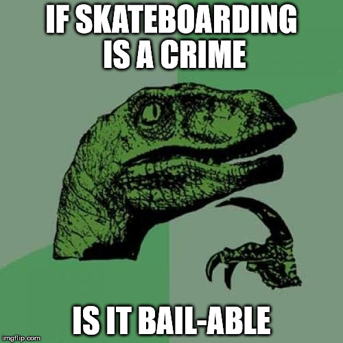 Philosoraptor Meme | IF SKATEBOARDING IS A CRIME; IS IT BAIL-ABLE | image tagged in memes,philosoraptor | made w/ Imgflip meme maker