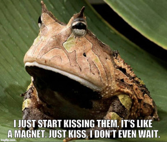Flies Like Us | I JUST START KISSING THEM. IT'S LIKE A MAGNET. JUST KISS. I DON'T EVEN WAIT. | image tagged in donald trump | made w/ Imgflip meme maker