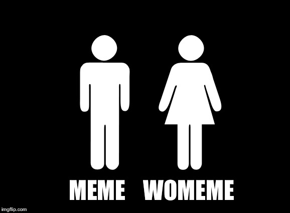 Gender Meme | MEME    WOMEME | image tagged in memes | made w/ Imgflip meme maker