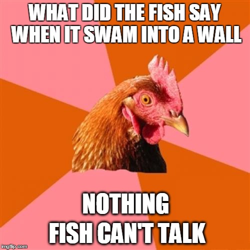 Dam! I didn't see that coming | WHAT DID THE FISH SAY WHEN IT SWAM INTO A WALL; NOTHING; FISH CAN'T TALK | image tagged in meme,anti joke chicken,dumb fish jokes,funny fish | made w/ Imgflip meme maker