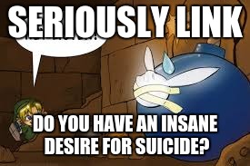 SERIOUSLY LINK; DO YOU HAVE AN INSANE DESIRE FOR SUICIDE? | image tagged in link deal with it | made w/ Imgflip meme maker
