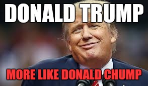 DONALD TRUMP; MORE LIKE DONALD CHUMP | image tagged in trump | made w/ Imgflip meme maker
