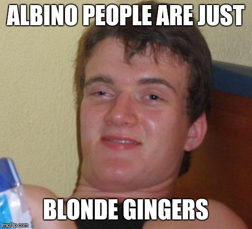 To anybody who is albino, I'm sorry for being offensive, honest. | ALBINO PEOPLE ARE JUST; BLONDE GINGERS | image tagged in memes,10 guy,albino | made w/ Imgflip meme maker