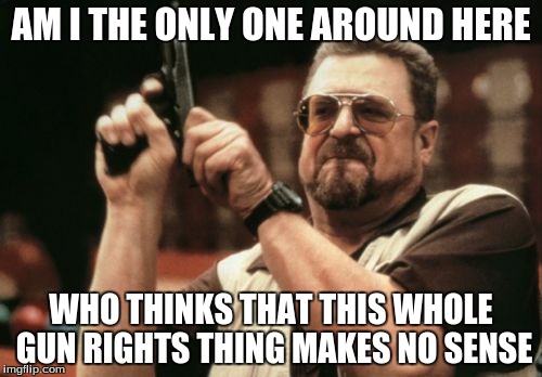 Am I The Only One Around Here Meme | AM I THE ONLY ONE AROUND HERE; WHO THINKS THAT THIS WHOLE GUN RIGHTS THING MAKES NO SENSE | image tagged in memes,am i the only one around here | made w/ Imgflip meme maker