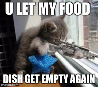 CatSniper | U LET MY FOOD; DISH GET EMPTY AGAIN | image tagged in catsniper | made w/ Imgflip meme maker