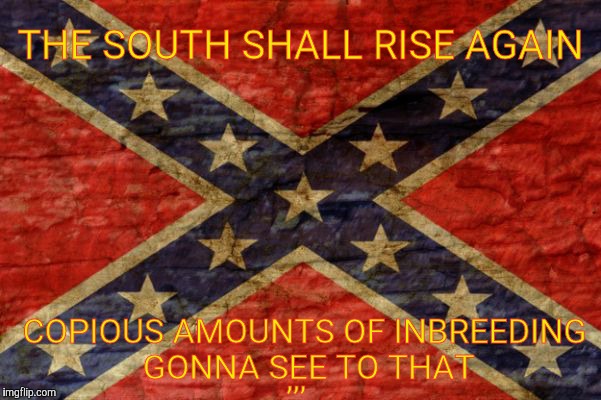 the south will rise again t shirt