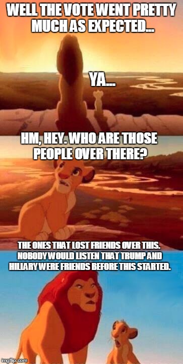 WELL THE VOTE WENT PRETTY MUCH AS EXPECTED... HM, HEY. WHO ARE THOSE PEOPLE OVER THERE? THE ONES THAT LOST FRIENDS OVER THIS. NOBODY WOULD L | made w/ Imgflip meme maker