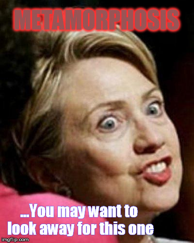 Hillary Clinton Fish | METAMORPHOSIS; ...You may want to look away for this one | image tagged in hillary clinton fish | made w/ Imgflip meme maker