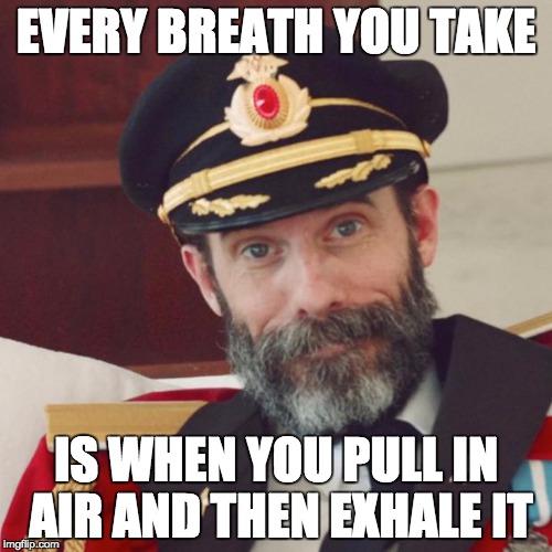 I'll be watching you | EVERY BREATH YOU TAKE; IS WHEN YOU PULL IN AIR AND THEN EXHALE IT | image tagged in captain obvious,sting,breath,funny,funny memes,memes | made w/ Imgflip meme maker