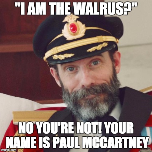I am the Walrus | "I AM THE WALRUS?"; NO YOU'RE NOT! YOUR NAME IS PAUL MCCARTNEY | image tagged in captain obvious,paul mccartney,walrus,i am the walrus,funny,memes | made w/ Imgflip meme maker