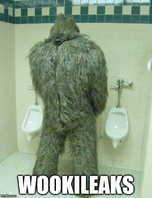 Do We Even Know if Wookies Can Pee Standing up??? | WOOKILEAKS | image tagged in chewbacca,memes,star wars | made w/ Imgflip meme maker